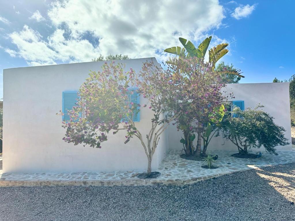 Casa Rustick Villa San Francisco Javier Exteriör bild