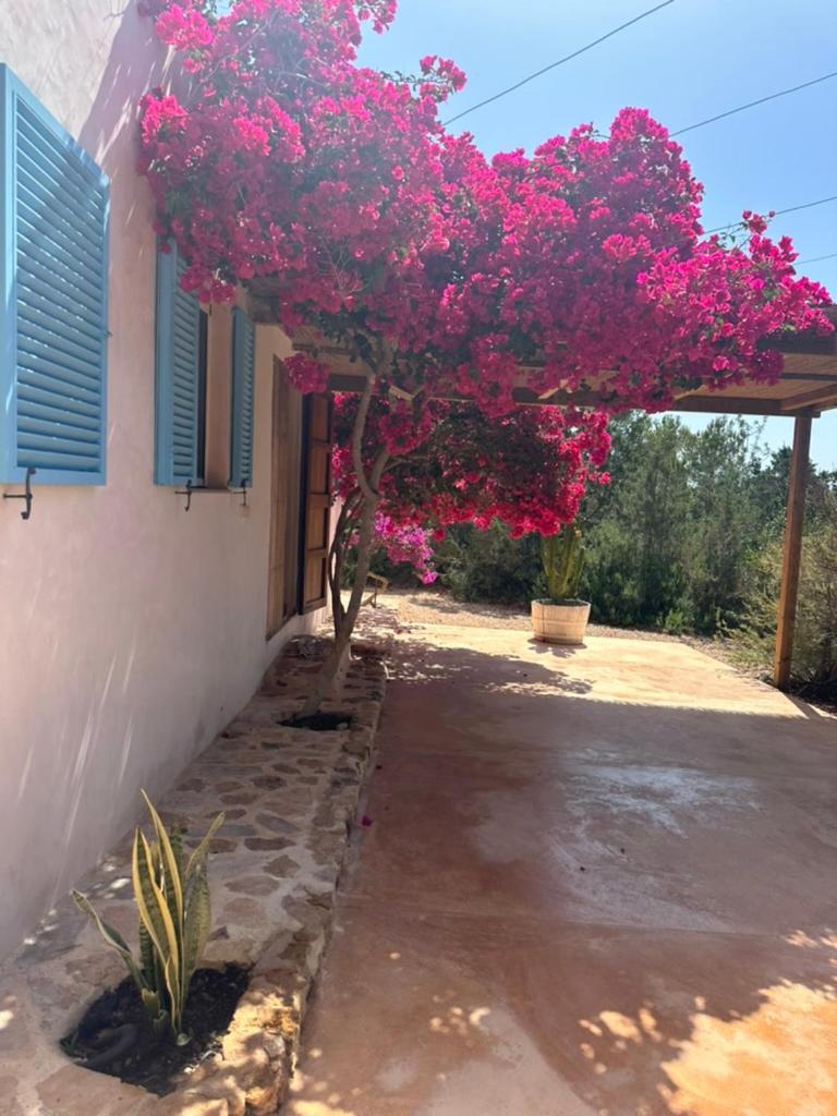 Casa Rustick Villa San Francisco Javier Exteriör bild